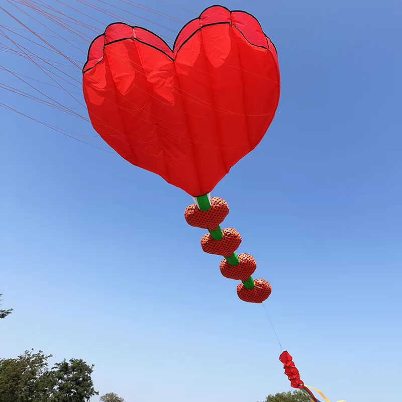 Nouveau cerf-volant gonflable  - Kids Outdoor Area avis et prix