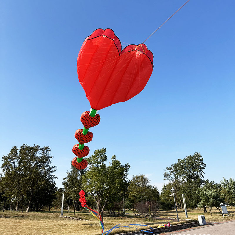 Nouveau cerf-volant gonflable  - Kids Outdoor Area avis et prix