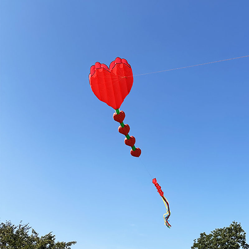 Nouveau cerf-volant gonflable  - Kids Outdoor Area avis et prix